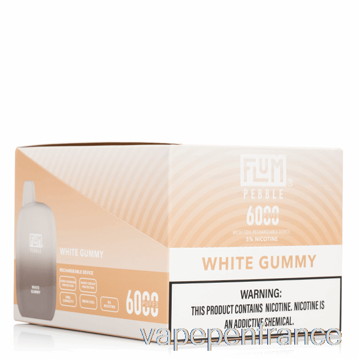 [Paquet De 10] Stylo Vape Jetable Flum Pebble 6000